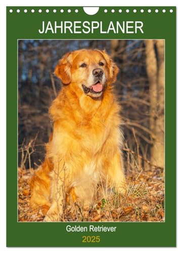 Jahresplaner Golden Retriever (Wandkalender 2025 DIN A4 hoch), CALVENDO Monatskalender von CALVENDO
