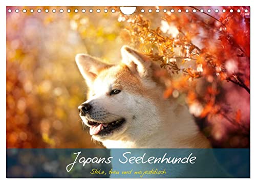Japans Seelenhunde (Wandkalender 2025 DIN A4 quer), CALVENDO Monatskalender von CALVENDO