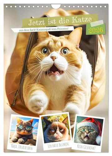 Jetzt ist die Katze aus dem Sack! Katzenspaß vom Feinsten! (Wandkalender 2026 DIN A4 hoch), CALVENDO Monatskalender von CALVENDO