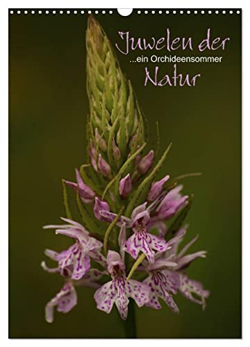 Juwelen der Natur - Ein Orchideensommer (Wandkalender 2025 DIN A3 hoch), CALVENDO Monatskalender von CALVENDO