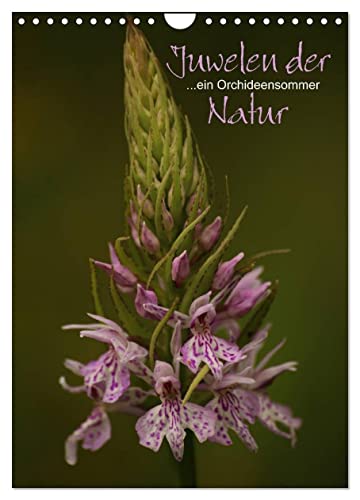 Juwelen der Natur - Ein Orchideensommer (Wandkalender 2025 DIN A4 hoch), CALVENDO Monatskalender von CALVENDO