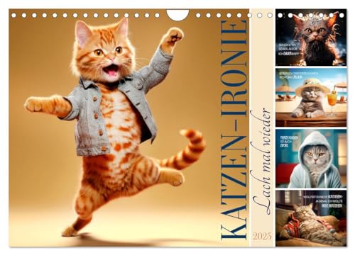 KATZEN-IRONIE Lach mal wieder (Wandkalender 2025 DIN A4 quer), CALVENDO Monatskalender von CALVENDO
