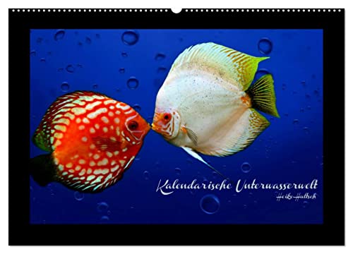 Kalendarische Unterwasserwelt (Wandkalender 2026 DIN A2 quer), CALVENDO Monatskalender von CALVENDO