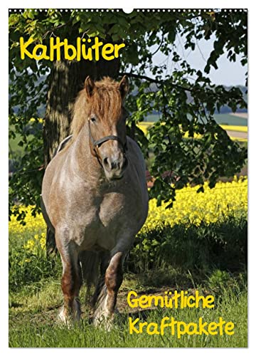 Kaltblüter (Wandkalender 2025 DIN A2 hoch), CALVENDO Monatskalender von CALVENDO