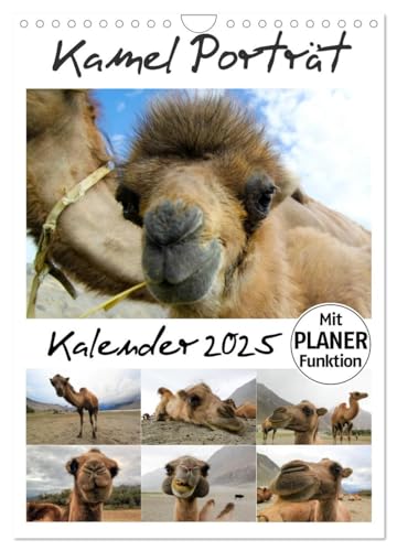 Kamel Porträt (Wandkalender 2025 DIN A4 hoch), CALVENDO Monatskalender von CALVENDO