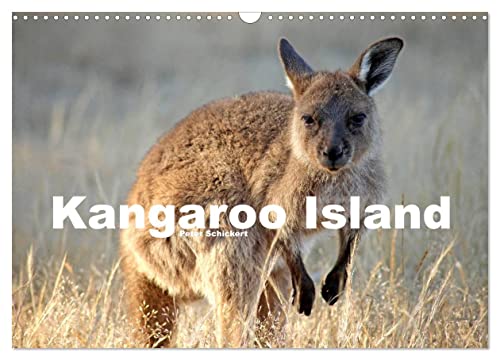 Kangaroo Island (Wandkalender 2025 DIN A3 quer), CALVENDO Monatskalender von CALVENDO