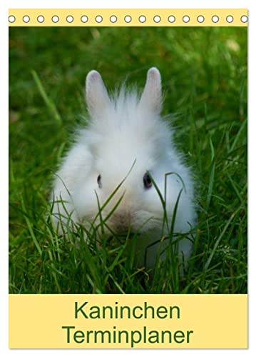 Kaninchen Terminplaner (Tischkalender 2025 DIN A5 hoch), CALVENDO Monatskalender von CALVENDO
