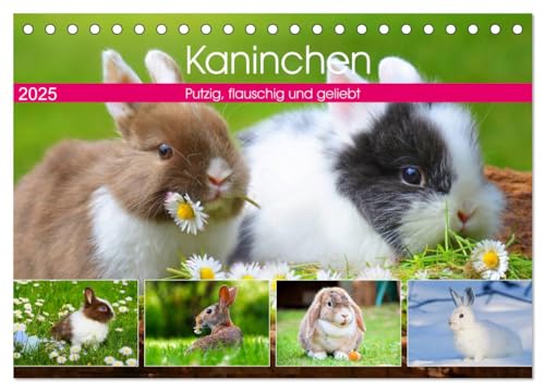 Kaninchen. Putzig, flauschig und geliebt (Tischkalender 2025 DIN A5 quer), CALVENDO Monatskalender von CALVENDO