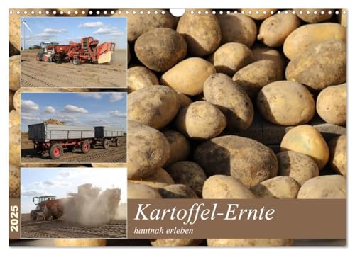 Kartoffel-Ernte - hautnah erleben (Wandkalender 2025 DIN A3 quer), CALVENDO Monatskalender von CALVENDO