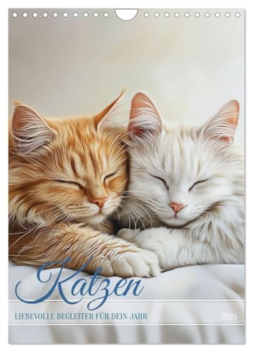 Katzen (Wandkalender 2025 DIN A4 hoch), CALVENDO Monatskalender von CALVENDO