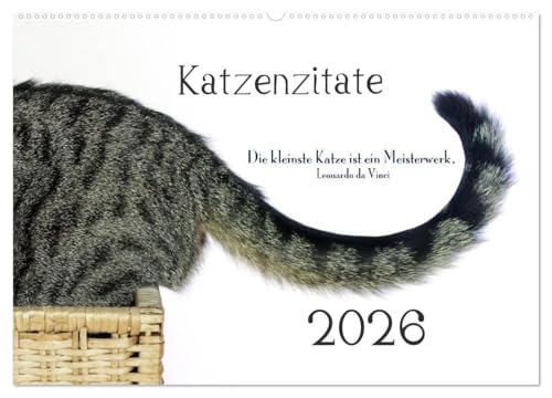 Katzenzitate 2026 (Wandkalender 2026 DIN A2 quer), CALVENDO Monatskalender: Katzenportraits mit Zitaten (CALVENDO Tiere) von Calvendo