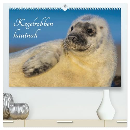 Kegelrobben hautnah (hochwertiger Premium Wandkalender 2026 DIN A2 quer), Kunstdruck in Hochglanz: Kegelrobben auf Helgoland auf 13 bezaubernden Fotos (CALVENDO Tiere) von Calvendo