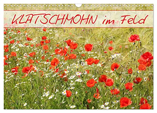 Klatschmohn im Feld (Wandkalender 2025 DIN A3 quer), CALVENDO Monatskalender von CALVENDO