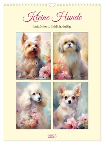 Kleine Hunde. Entzückend, lieblich, duftig (Wandkalender 2025 DIN A3 hoch), CALVENDO Monatskalender von CALVENDO