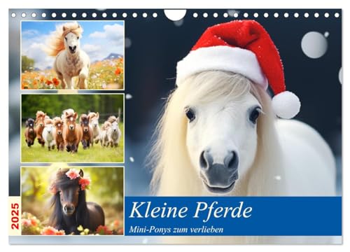 Kleine Pferde. Mini-Ponys zum verlieben (Wandkalender 2025 DIN A4 quer), CALVENDO Monatskalender von CALVENDO