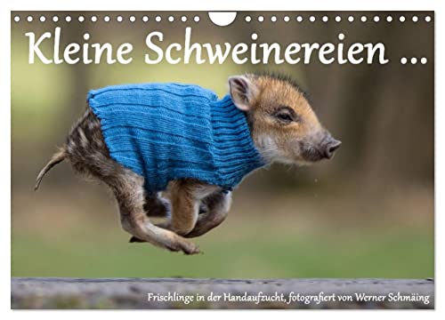 Kleine Schweinereien (Wandkalender 2025 DIN A4 quer), CALVENDO Monatskalender von CALVENDO