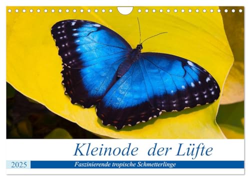 Kleinode der Lüfte - Faszinierende tropische Schmetterlinge (Wandkalender 2025 DIN A4 quer), CALVENDO Monatskalender von CALVENDO
