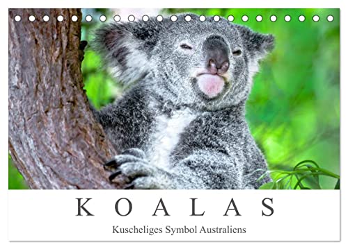 Koalas - Kuscheliges Symbol Australiens (Tischkalender 2025 DIN A5 quer), CALVENDO Monatskalender von CALVENDO