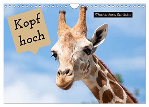 Kopf hoch Motivations Sprüche (Wandkalender 2025 DIN A4 quer), CALVENDO Monatskalender
