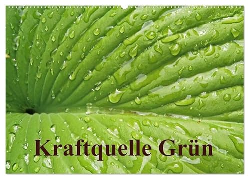 Kraftquelle Grün (Wandkalender 2026 DIN A2 quer), CALVENDO Monatskalender: Grün ist die Farbe der Hoffnung, deshalb wird das junge Frühlingsgrün auch ... Kraft und Energie schenkt. (CALVENDO Natur) von Calvendo
