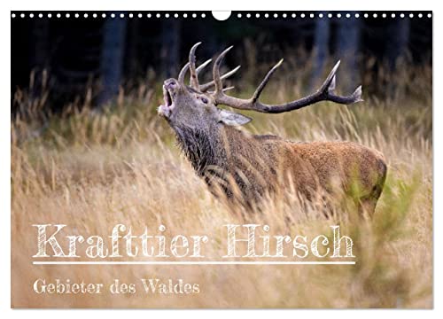 Krafttier Hirsch (Wandkalender 2025 DIN A3 quer), CALVENDO Monatskalender von CALVENDO