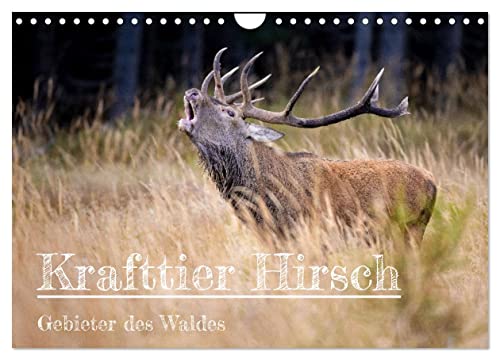 Krafttier Hirsch (Wandkalender 2025 DIN A4 quer), CALVENDO Monatskalender von CALVENDO