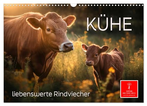 Kühe - liebenswerte Rindviecher (Wandkalender 2025 DIN A3 quer), CALVENDO Monatskalender von CALVENDO