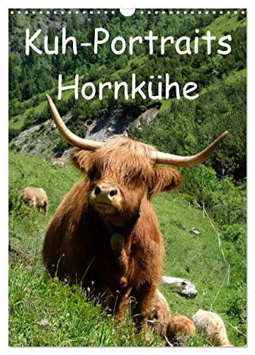Kuhportraits Hornkühe (Wandkalender 2025 DIN A3 hoch), CALVENDO Monatskalender von CALVENDO