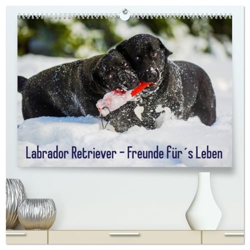 Labrador Retriever - Freunde für´s Leben (hochwertiger Premium Wandkalender 2026 DIN A2 quer), Kunstdruck in Hochglanz: Labrador Retriever - die seit ... auf 13 zauberhaften Fotos (CALVENDO Tiere) von Calvendo