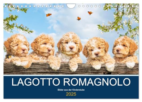 Lagotto Romagnolo - Bilder aus der Kinderstube (Wandkalender 2025 DIN A4 quer), CALVENDO Monatskalender von CALVENDO