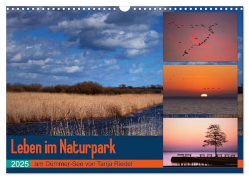 Leben am Naturpark um den Dümmer See (Wandkalender 2025 DIN A3 quer), CALVENDO Monatskalender von CALVENDO