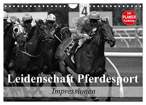 Leidenschaft Pferdesport - Impressionen (Wandkalender 2025 DIN A4 quer), CALVENDO Monatskalender von CALVENDO
