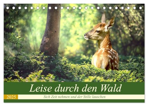 Leise durch den Wald. Sich Zeit nehmen und der Stille lauschen (Tischkalender 2025 DIN A5 quer), CALVENDO Monatskalender von CALVENDO