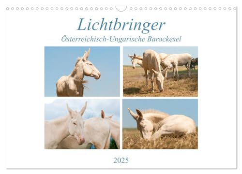 Lichtbringer - Österreichisch-Ungarische Barockesel (Wandkalender 2025 DIN A3 quer), CALVENDO Monatskalender von CALVENDO