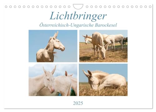 Lichtbringer - Österreichisch-Ungarische Barockesel (Wandkalender 2025 DIN A4 quer), CALVENDO Monatskalender von CALVENDO
