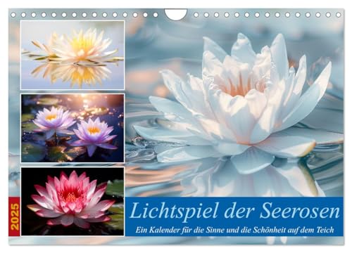 Lichtspiel der Seerosen (Wandkalender 2025 DIN A4 quer), CALVENDO Monatskalender von CALVENDO