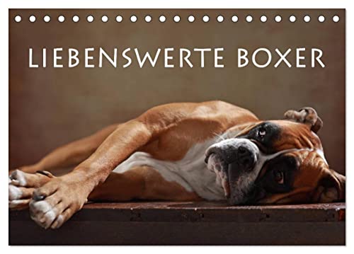 Liebenswerte Boxer (Tischkalender 2025 DIN A5 quer), CALVENDO Monatskalender von CALVENDO