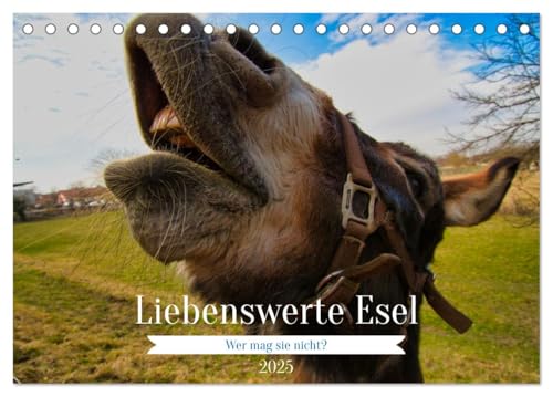 Liebenswerte Esel (Tischkalender 2025 DIN A5 quer), CALVENDO Monatskalender von CALVENDO