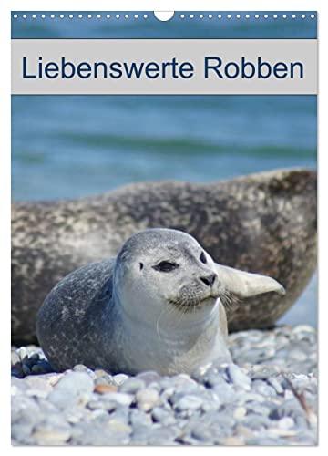 Liebenswerte Robben (Wandkalender 2025 DIN A3 hoch), CALVENDO Monatskalender von CALVENDO