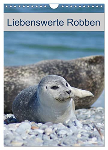 Liebenswerte Robben (Wandkalender 2025 DIN A4 hoch), CALVENDO Monatskalender von CALVENDO
