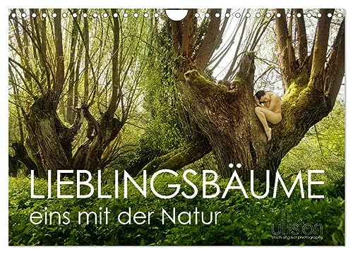 Lieblingsbäume - eins mit der Natur (Wandkalender 2025 DIN A4 quer), CALVENDO Monatskalender von CALVENDO