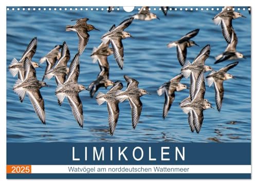 Limikolen - Watvögel am norddeutschen Wattenmeer (Wandkalender 2025 DIN A3 quer), CALVENDO Monatskalender von CALVENDO