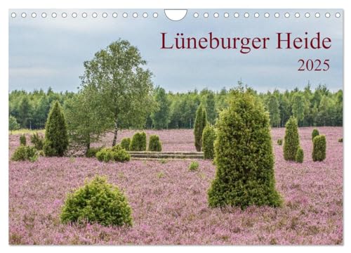 Lüneburger Heide (Wandkalender 2025 DIN A4 quer), CALVENDO Monatskalender: 12 wunderschöne Bilder aus einer alten Kulturlandschaft (CALVENDO Natur) von Calvendo