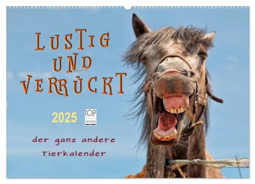 Lustig und verrückt - der ganz andere Tierkalender (Wandkalender 2025 DIN A2 quer), CALVENDO Monatskalender von CALVENDO