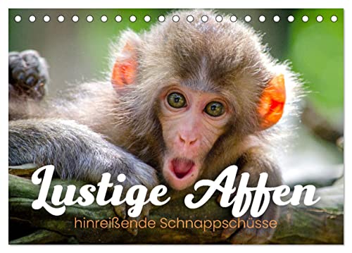 Lustige Affen - hinreißende Schnappschüsse (Tischkalender 2025 DIN A5 quer), CALVENDO Monatskalender von CALVENDO