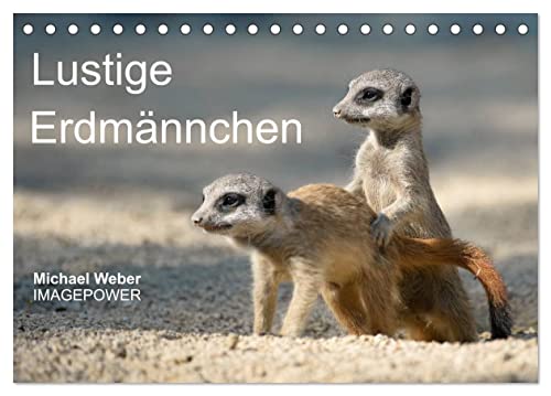 Lustige Erdmännchen (Tischkalender 2025 DIN A5 quer), CALVENDO Monatskalender von CALVENDO