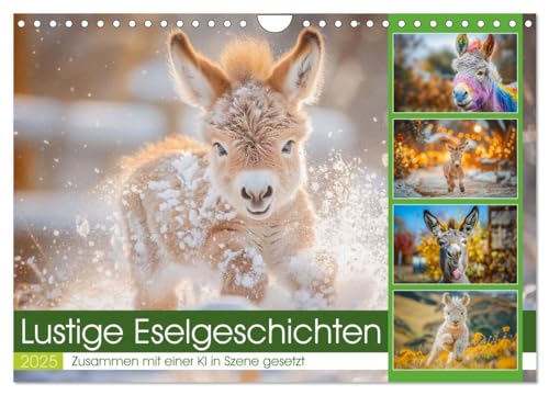 Lustige Eselgeschichten (Wandkalender 2025 DIN A4 quer), CALVENDO Monatskalender von CALVENDO