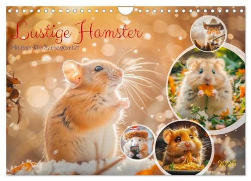 Lustige Hamster (Wandkalender 2025 DIN A4 quer), CALVENDO Monatskalender: Diese kleinen Wirbelwinde verbreiten ständig gute Laune und lassen keine Langeweile aufkommen. (CALVENDO Tiere) von CALVENDO