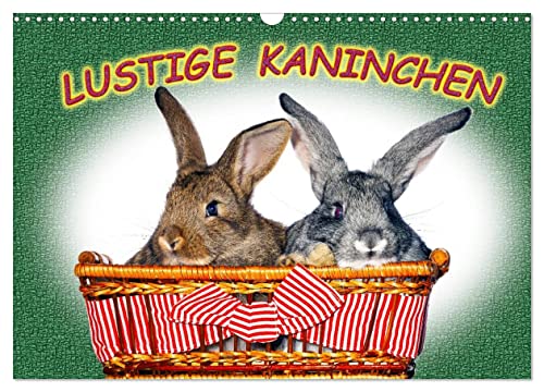 Lustige Kaninchen (Wandkalender 2026 DIN A3 quer), CALVENDO Monatskalender: Kaninchen vor der Kamera. Wir Kaninchen lassen uns gerne fotografieren (CALVENDO Tiere) von Calvendo
