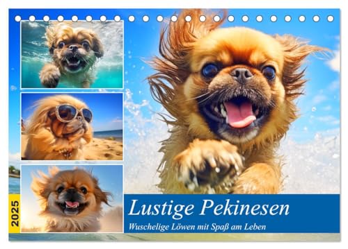 Lustige Pekinesen. Wuschelige Löwen mit Spaß am Leben (Tischkalender 2025 DIN A5 quer), CALVENDO Monatskalender von CALVENDO